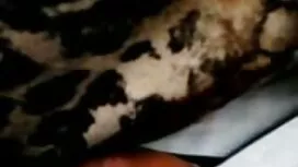 دو مرد همجنسگرا داغ  ...
