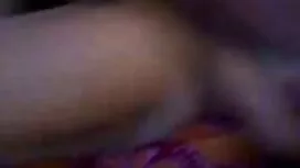 خروس بزرگ در بیدمشک  ...