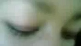 گربه سیاه آبنوس زیبا ...