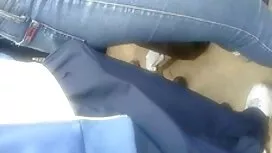 او کنجکاوی خود را به ...