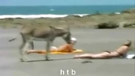 بلوند شهوت انگیز بال ...