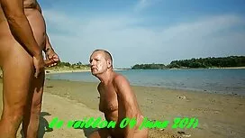 گربه بیدمشک لزبین ور ...