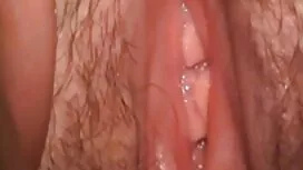 دو نیگا جوجه ای را ب ...