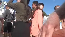 گربه و گربه ضخیم Blo ...